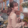 19050047