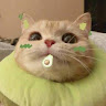 6723759968