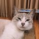 anhthu180703