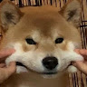 catenguowo