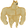 damgkhoa9b