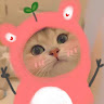 dngthmytho26