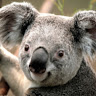 hatrucly28042002