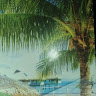 hoanghaotri