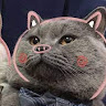 hoangthanhhueptdh