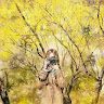 kimhoang040803