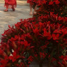 lananhnguyen180820