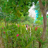 lephuongthao0512