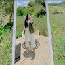 ltthuy25062001