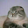 nguyenphuong682004
