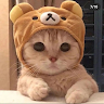 nhineuwu1230