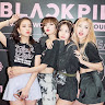 thai15052004