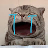 thanhhphuongg2409