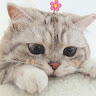 thanhnhanna102003