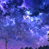 thanhtruc37803