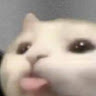 thicom1303