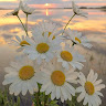 tienpham0916213172