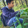 chinnguyen.da