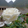 huedong123