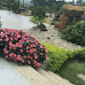 huongthao3098