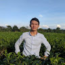 huynhtaisph37