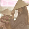 lmduyen239