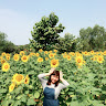minhan.248