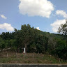 minhanh572