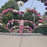 nguyenkhanhtrung77
