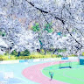 nguyenthiennhan200