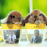 thavybaby