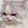 thuylinh2k910