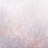 vanktqd2404
