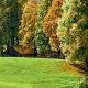 syneld