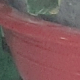 Danhnguyen1982