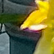 HC07577