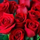 vothanhhungbs1@gmail.com