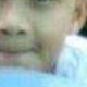 phandat207